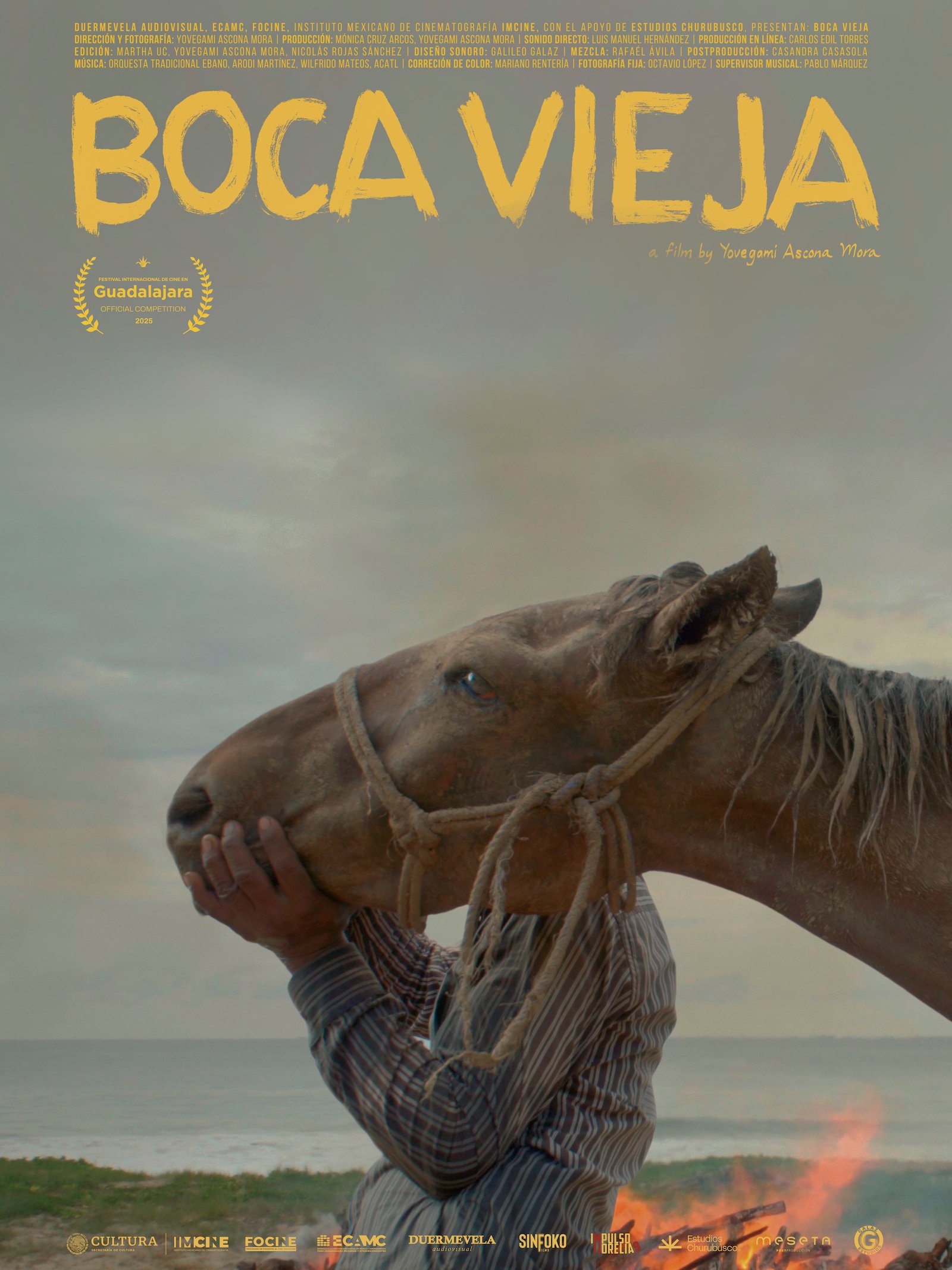 Boca vieja_cartel